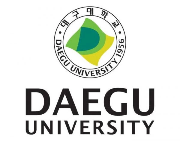 Daegu University